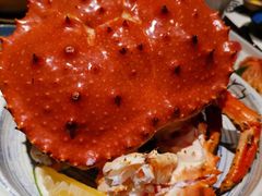 -极料理(普罗理想国店)