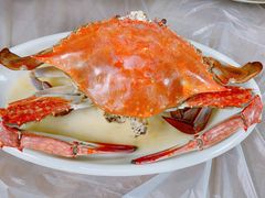 -阿杰臻选海鲜饭店(普陀山店)