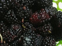 -大润发(明珠店)