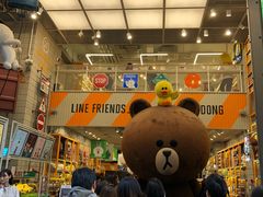 -line friends(明洞旗舰店)