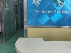 -东方动物医院·宠保定点·骨科·转诊中心(春城路·昆明站分院)