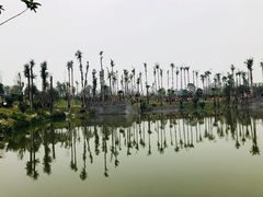 -枫香湖儿童公园