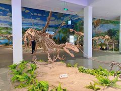 -自贡恐龙博物馆