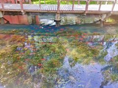 -水磨沟公园
