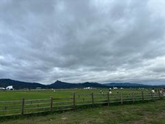 -敕勒川草原