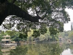 -晓港公园