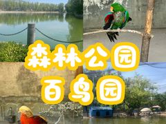 -森林公园(尖草坪区)