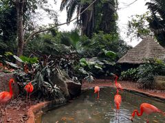 -海南热带野生动植物园