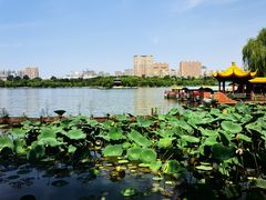 -济南大明湖景区