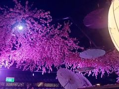 -韵秋荷(宝山龙湖天街店)
