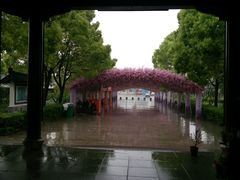 -南汇桃花村
