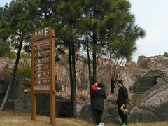 -蛇蟠岛