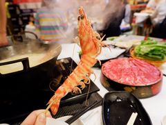 -鲜入围煮花胶鸡海鲜火锅