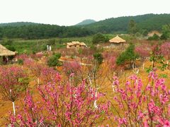 android_upload_pic-清溪森林公园