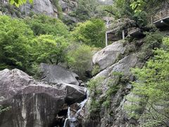 -洛阳白云山景区