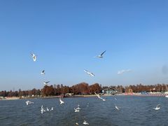 -东湖落雁景区