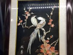 -贝壳梦幻世界