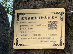 -抚仙湖禄充风景区