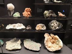 -墨尔本博物馆(Melbourne Museum)