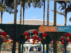 -海合安成都极地海洋公园