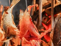 -炉胜·炉端烧·居酒屋