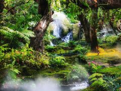 -Chom Cafe and Restaurant