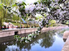 -海棠花溪(元大都城垣遗址公园)