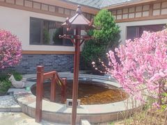 -望儿山温泉水乐园