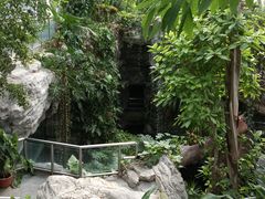 -北京植物园-展览温室