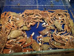 -高佳庄·舟山海鲜(海景旗舰店)