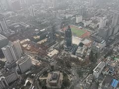-紫峰大厦