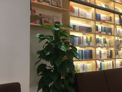 -猫的天空之城概念书店(印象城购物中心店)