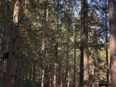 -南京金牛湖风景区