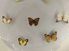 -下渚湖国家湿地公园科普馆