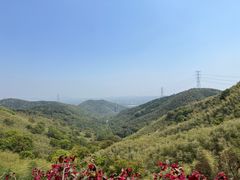-东明山森林公园