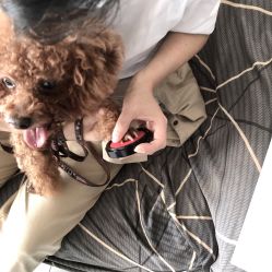 -彦瑾·TATTOOstudio