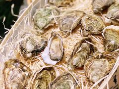 -上海外滩英迪格酒店