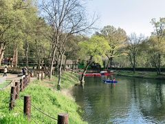 -WeLope紫金山探险公园