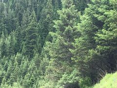 -叠溪松坪沟景区