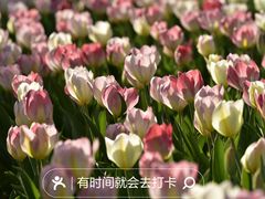 -国家植物园