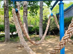 -南宫五洲植物乐园