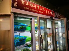 -金鼎雪山牦牛杂火锅(理县总店)