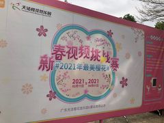 -天适樱花悠乐园