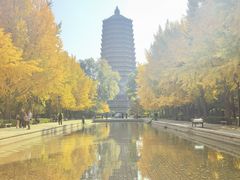 -玲珑塔公园
