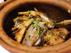 砂锅蝶鱼头-甄御•海鲜新青岛菜(麦岛店)