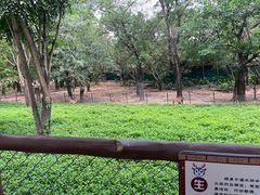 -深圳野生动物园