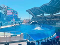 -上海海昌海洋公园