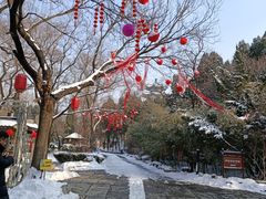-淄博聊斋城景区