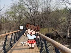 -白水寺森林公园