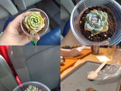 -星巴克(北京环球金融中心店)